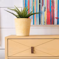 Milk Paint by FUSION™ -  Mod Mustard