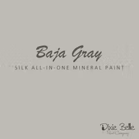Dixie Belle SILK All-In-One BAJA GRAY