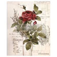 Re Design Décor Transfers® - Botanical Rose ca 61x86cm