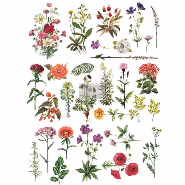 Re Design Décor Transfer - Floral Collection