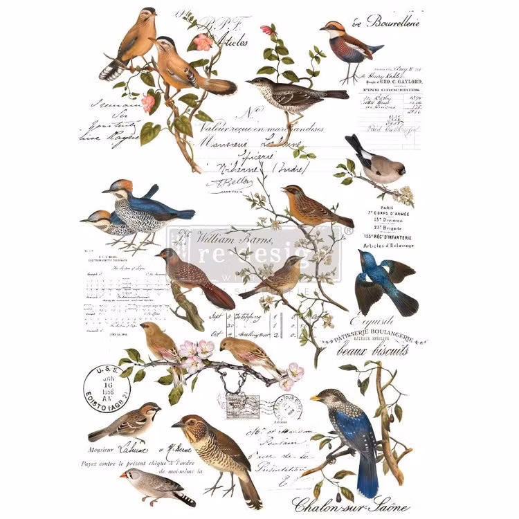 Re Design Décor Transfer - Postal Birds