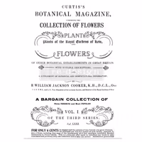 Re Design Décor Transfers® - Botanical Magazine ca 61x89cm