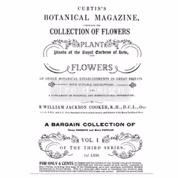 Re Design Décor Transfers® - Botanical Magazine ca 61x89cm