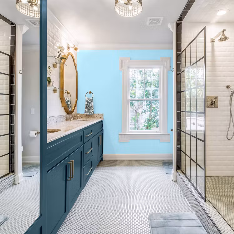 Autentico® VIVACE Bleu Clair