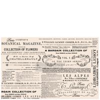 Re Design Tissue Paper - Floral Text 48x76cm