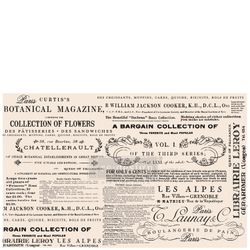 Re Design Tissue Paper - Floral Text 48x76cm
