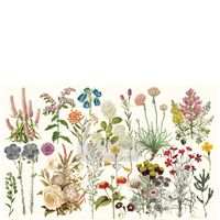 Re Design Tissue Paper - Wild Herbs 48x76cm