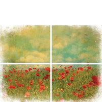 Belles and Whistles Transfer - Field of Flowers ca 61x81cm