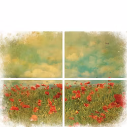 Belles and Whistles Transfer - Field of Flowers ca 61x81cm