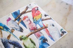 BIRDS - Belles and Whistles Rice Papers: 3st ark à ca 30x32cm
