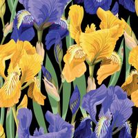 FLORAL ON BLACK - Belles and Whistles Rice Papers: 3st ark à ca 30x32cm