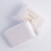 Fusion™ Applicator Pads - Målardynor 2-pack