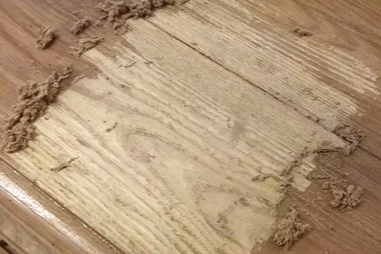 Autentico Bio-Strip - Färgborttagning