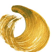 Polyvine® Metallic Paint BRIGHT GOLD (guld)