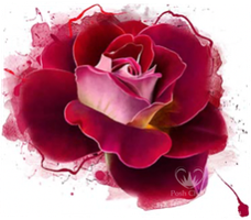 Posh Chalk® RADIANT ROSE - A1 Deluxe Decoupage Paper ca  59x84cm