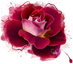 Posh Chalk® RADIANT ROSE - A1 Deluxe Decoupage Paper ca  59x84cm