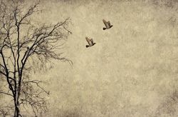 MINT - A3 Decoupagepapper (ca 30x42cm) - FLYING BIRDS