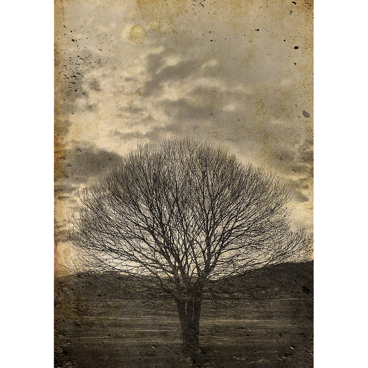 MINT Decoupage Paper SEPIA TREE