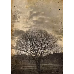 MINT - A1 Decoupagepapper (ca 59x84cm) - SEPIA TREE