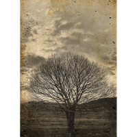 MINT - A3 Decoupagepapper (ca 30x42cm) - SEPIA TREE