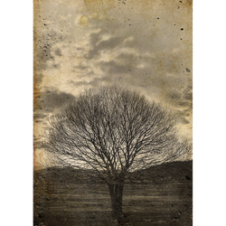 MINT - A3 Decoupagepapper (ca 30x42cm) - SEPIA TREE