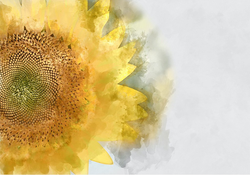 MINT - A3 Decoupagepapper (ca 30x42cm) - SUNFLOWER