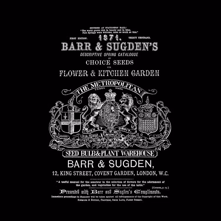 IOD Decor Transfer - BARR & SUGDEN'S