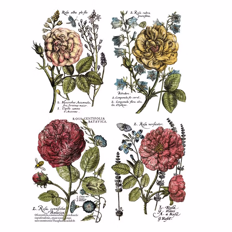 IOD Decor Transfer - LADIES IN WAITING