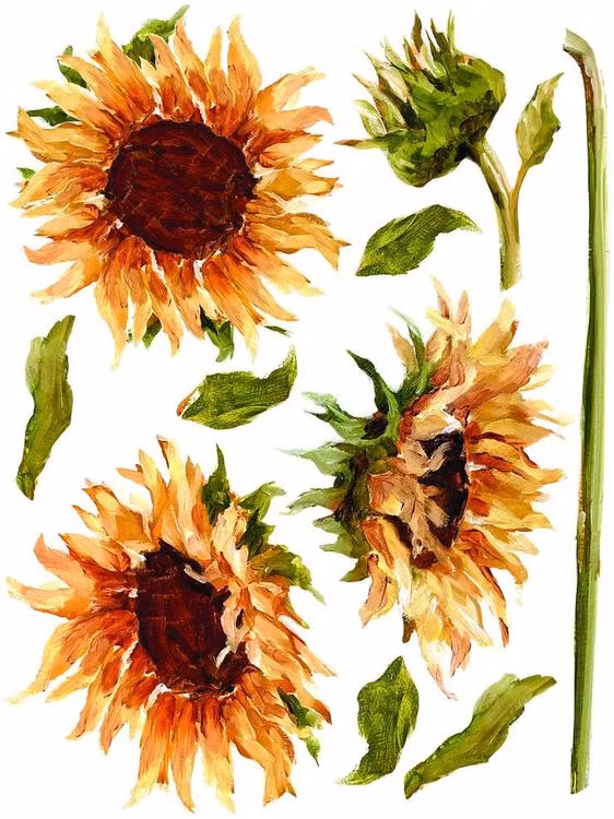 IOD Decor Transfer - PAINTERLY FLORALS