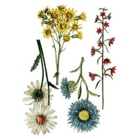 IOD Decor Transfer - WILD FLOWER BOTANICAL ca 60x84cm