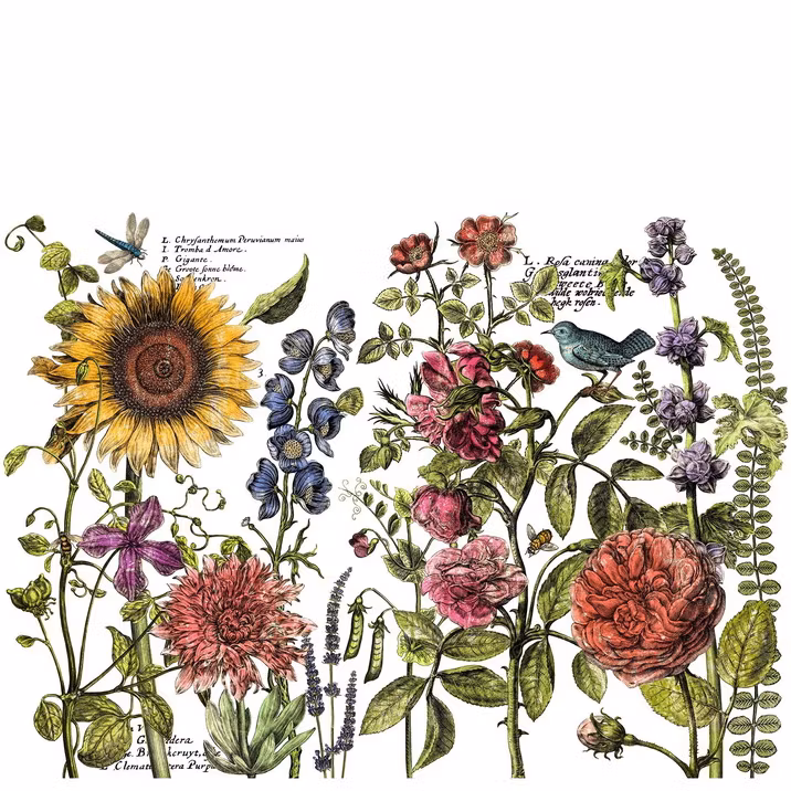 IOD Decor Transfer - BOTANISTS´S JOURNAL