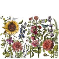 IOD Decor Transfer - BOTANISTS´S JOURNAL ca 61x 84cm