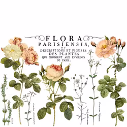 IOD Decor Transfer - FLORA PARISIENSIS ca 61x84cm