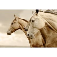 MINT - A3 Decoupagepapper (ca 30x42cm) - SEPIA HORSES - REVERSED