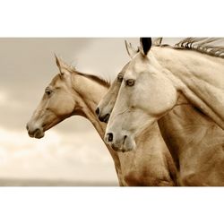 MINT - A3 Decoupagepapper (ca 30x42cm) - SEPIA HORSES - REVERSED