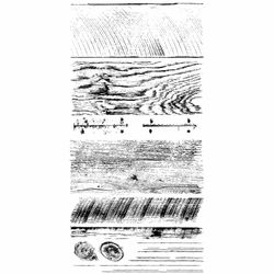 IOD Dekorstämpel - Barnwood Planks - 2st 30x30 cm
