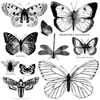 IOD Dekorstämpel - Butterflies 30x30cm