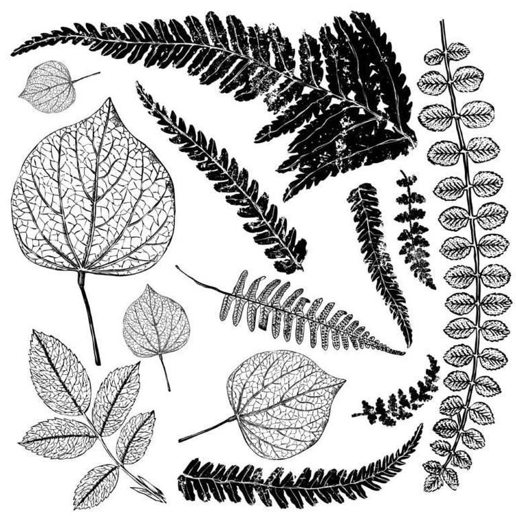 IOD Dekorstämpel -  Fronds