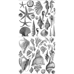 IOD Dekorstämpel -  Seashore 2st - 30x30cm