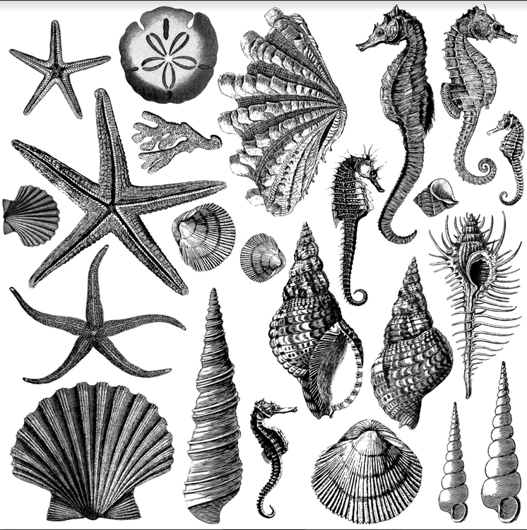 IOD Dekorstämpel -  Seashore