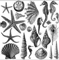 IOD Dekorstämpel -  Seashore 2st - 30x30cm