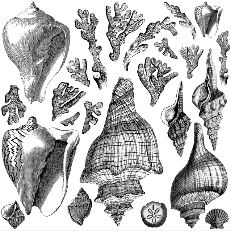IOD Dekorstämpel -  Seashore