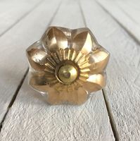 Möbelknopp - Golden Glass Petals