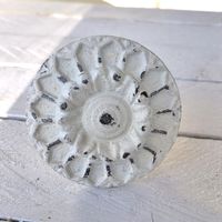 Möbelknopp - White Sunflower
