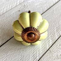 Möbelknopp - Pumkin Green