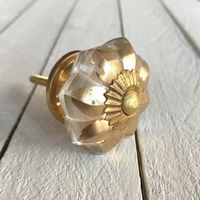 Möbelknopp - Golden Glass Petals
