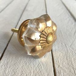 Möbelknopp - Golden Glass Petals