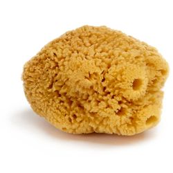 Natursvamp