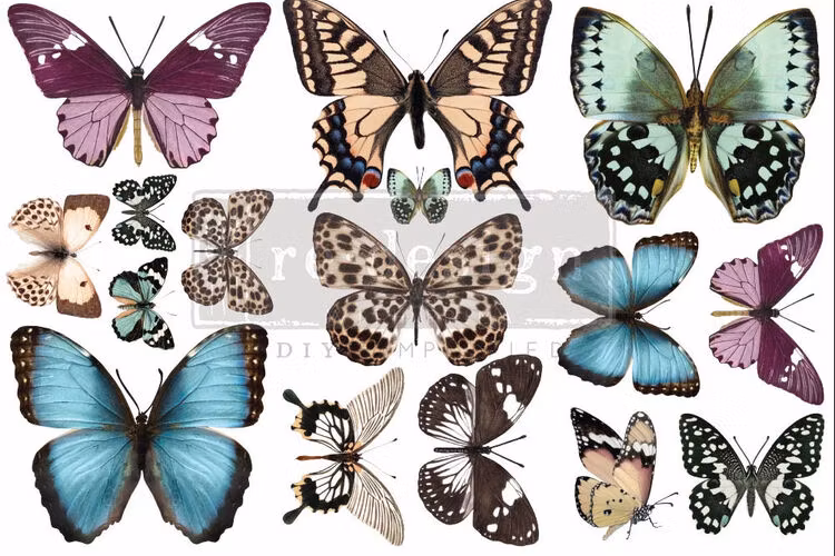 TRANSFER - Re Design Décor Transfers - Butterfly