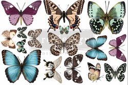 Re Design Décor Transfers® - Butterfly - LITEN ca 30x46cm